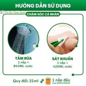 Dettol Dung Dịch Diệt Khuẩn Khử Mùi Đa Năng 2